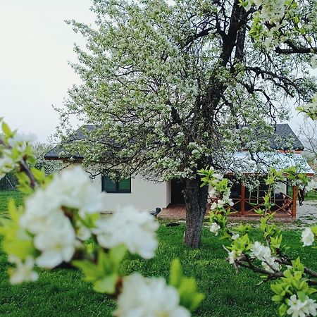 Къща За Гости Софаш Stoevtsi Εξωτερικό φωτογραφία